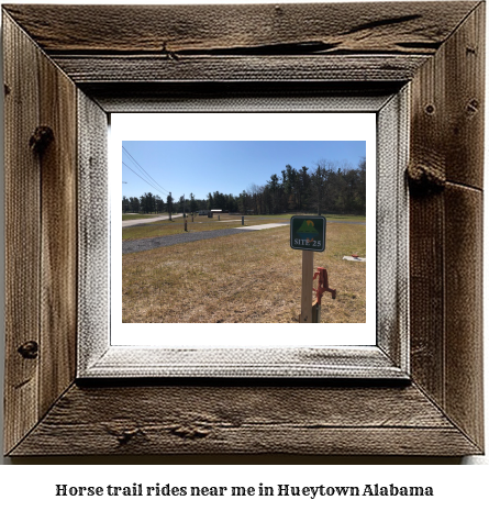 horse trail rides near me in Hueytown, Alabama